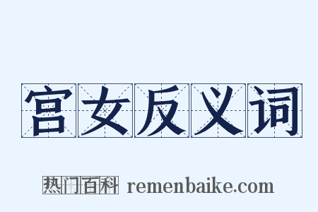 宫女反义词是什么意思的图片